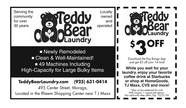Teddy Bear Laundry